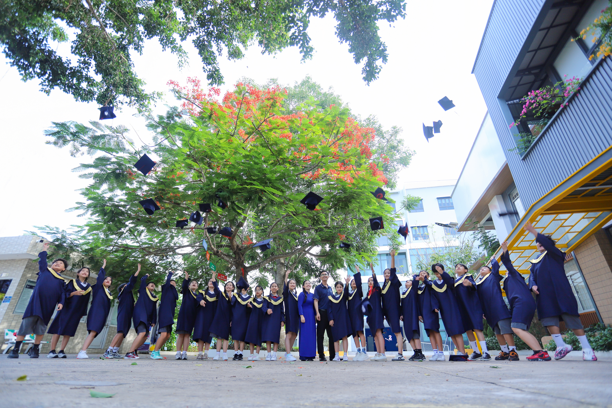 Chương trình Tiếng Anh Cambridge nâng cao (ESL+)