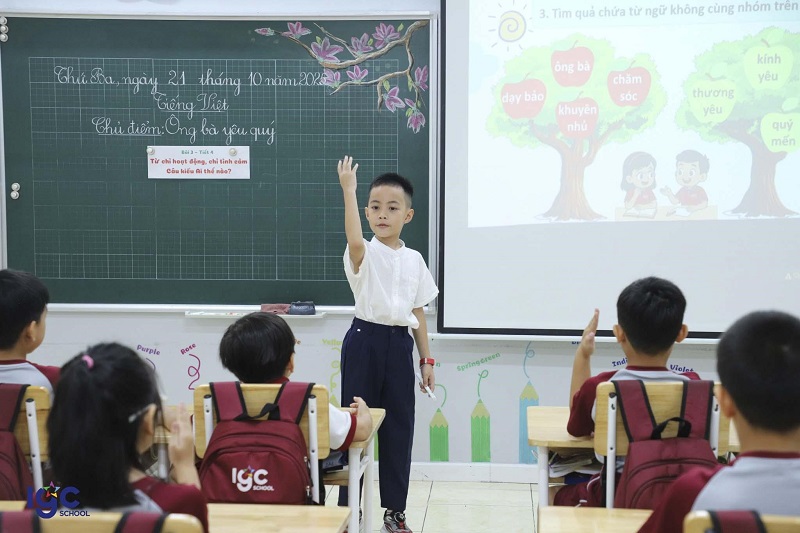 Lợi ích của học tập dự án IGC Bến Tre Giúp Phát Triển Toàn Diện Tư Duy & Kỹ Năng